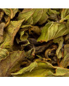 feuilles séchées de thé vert menthe poivrée pour infusion naturelle