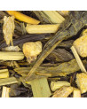 Grüntee Yangtze – Thés & Traditions
