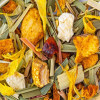 Tisane basilic bio Tisane basilic bio