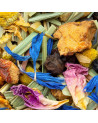 blend of dried plants spices and flowers for herbal tea in varied natural colors