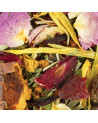 Mischung aus getrockneten Pflanzen und Blüten für Kräutertee Pfirsich Mojito von Thés & Traditions