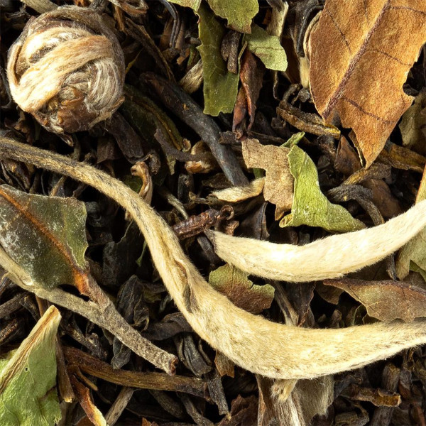 imperial jasmine green tea dried leaves with buds and jasmine petals