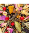 Mischung aus Grüntee mit roten Beeren, Blütenblättern, Gewürzen und getrockneten Kräutern