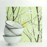 Coffret Bol Green Cosmos 4x550ml