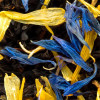 Russian Earl Grey | Organic Black Tea Thés & Traditions