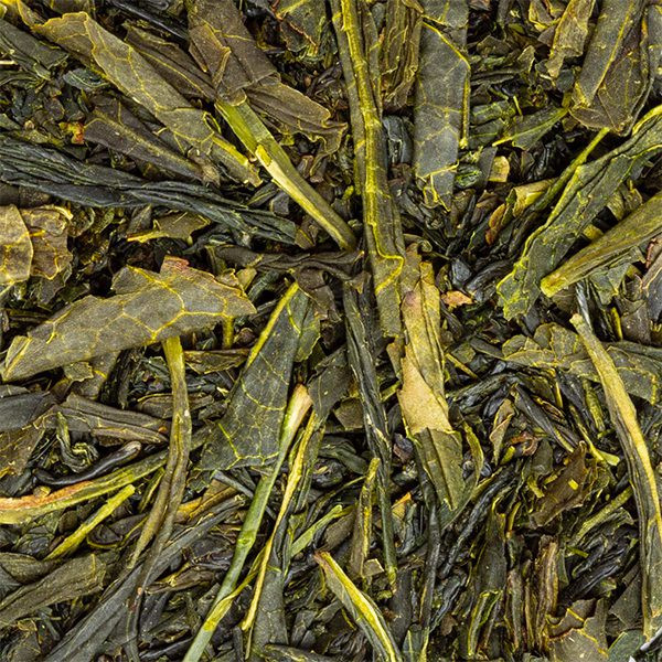 Foglie secche di tè verde Sencha giapponese per infusione dal sapore delicato e freschezza naturale