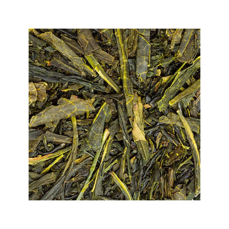 Getrocknete Blätter von japanischem Sencha Grüntee zur Zubereitung mit feinem Aroma und natürlicher Frische