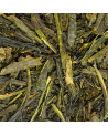 Dry leaves of Japanese Sencha green tea for infusion with delicate flavor and natural freshness