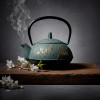Japanese Iwashu Cast Iron Teapot Bronze Butterfly