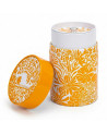 Côte d'Azur coral tea caddy with orange and white floral patterns Thés & Traditions