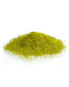 organic matcha powder bright green color fine and smooth texture