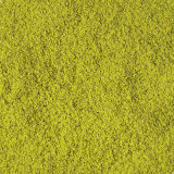 organic matcha tea powder fine and smooth green color