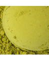 Bio-Matcha-Pulver in feiner, homogener grüner Farbe von Thés & Traditions