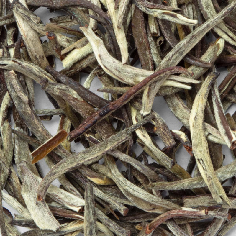 Mozambique Silver Tips Organic tea leaves with silvery buds and fine stems