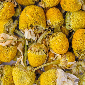 Primo piano di fiori di camomilla essiccati per infuso – Thés & Traditions