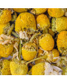 Primo piano di fiori di camomilla essiccati per infuso – Thés & Traditions