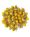 Camomilla essiccata sfusa Thés & Traditions fiori gialli e bianchi