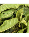 Primo piano di foglie di verbena essiccate per infuso – Thés & Traditions