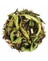 Thé Vert Balade en Provence Bio | Thés & Traditions