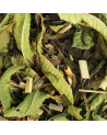 Mélange de feuilles de thé vert Balade en Provence bio : citronnelle, feuilles d'olivier, romarin et thym séchés en vrac