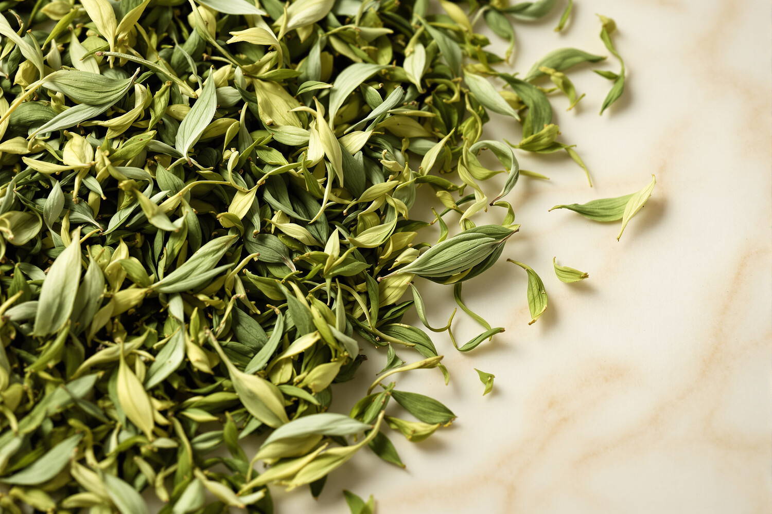 Foglie intere di tè verde premium in primo piano su marmo color crema
