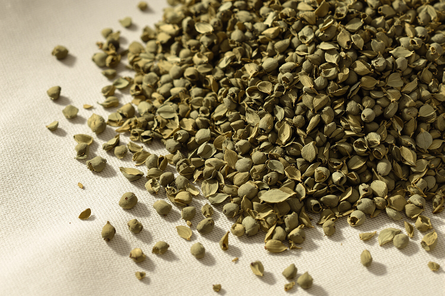 Gros plan sur des perles de thé vert Gunpowder roulées sur un tissu lin écru, éclairage naturel doux.