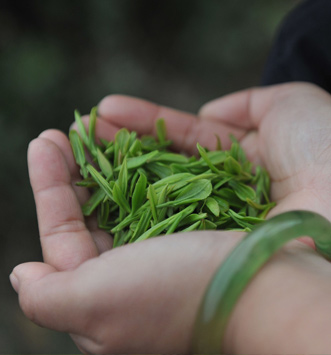 Pesticide in tea