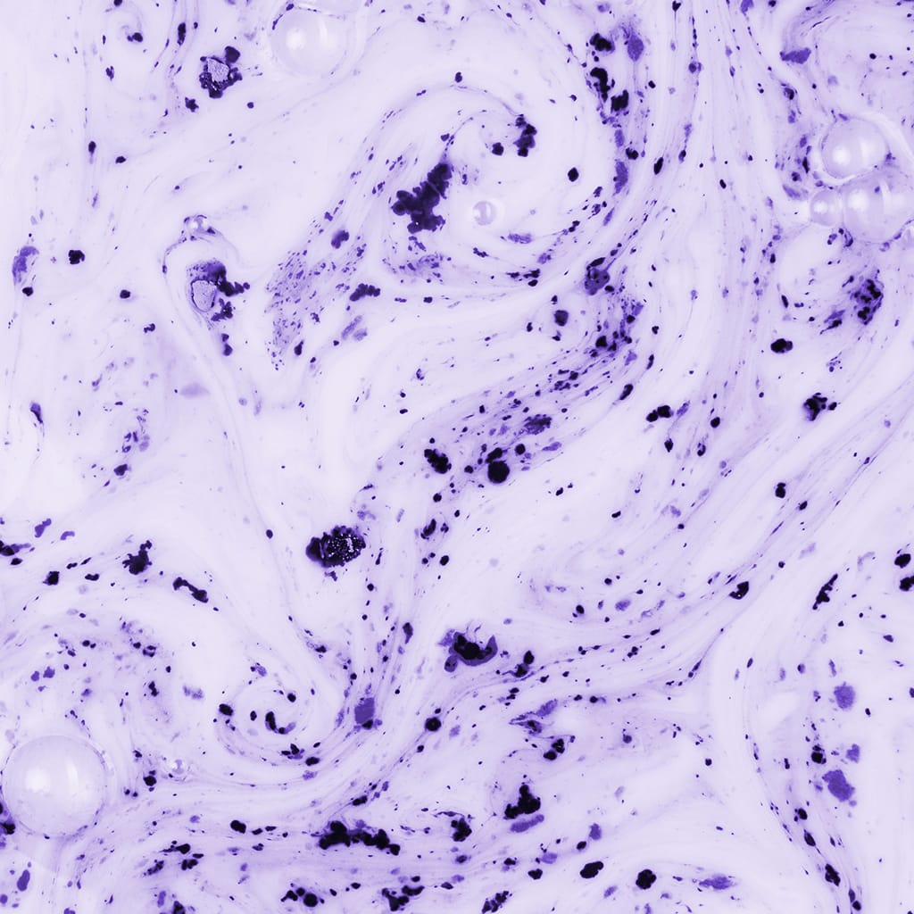 Poudre de ube pour latte