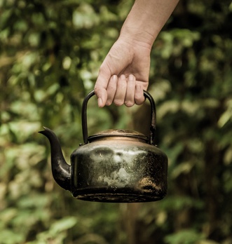 Thé vert et thé noir : quelles sont les différences ? - Thés de la Pagode