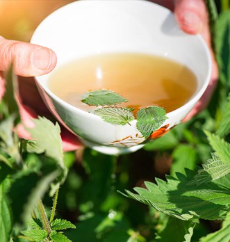 Une santé de fer avec la tisane d'ortie piquante bio