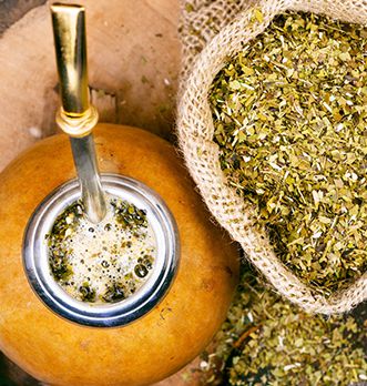 tout savoir sur le yerba maté