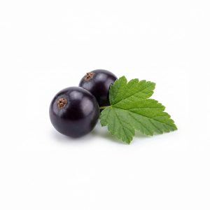 Blackcurrant