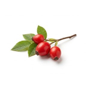 Rosehip