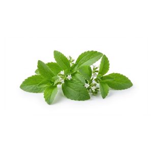 Stevia