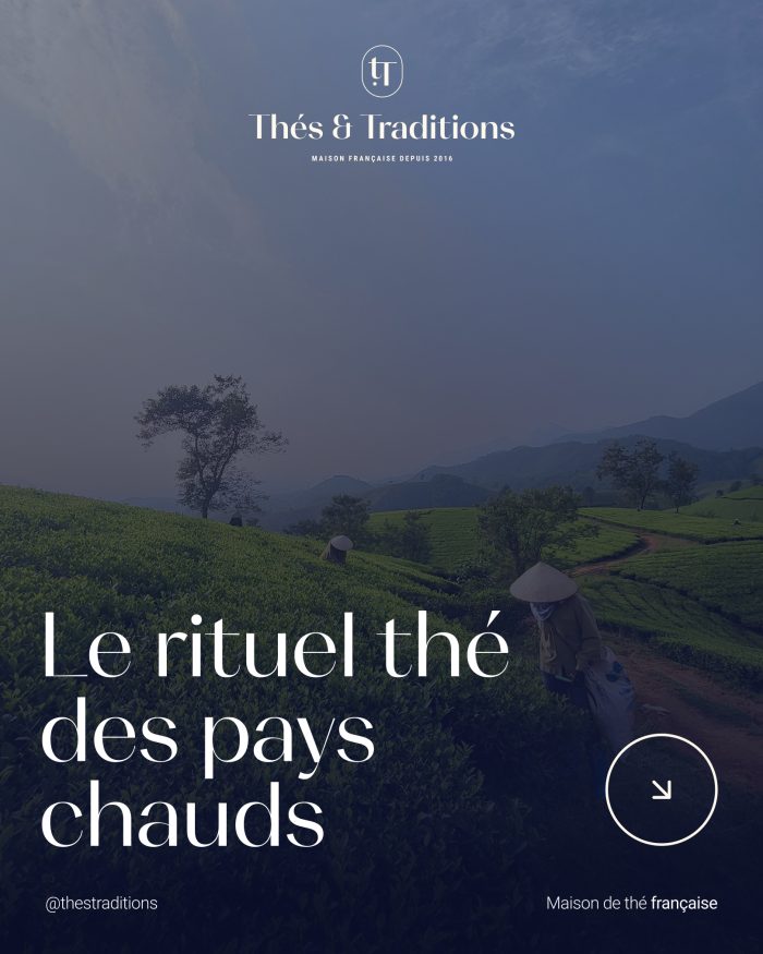 Le thé traverse les cultures, les saisons et les climats....