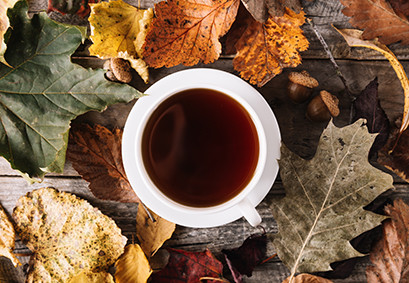 Nos tisanes d'automne à découvrir