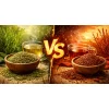 Rooibos rouge vs rooibos vert : quelles différences ?