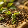 Is Your Cup of Tea Full of Pesticides?