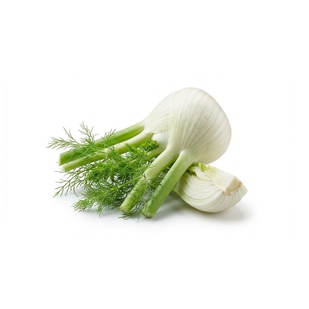 Fennel