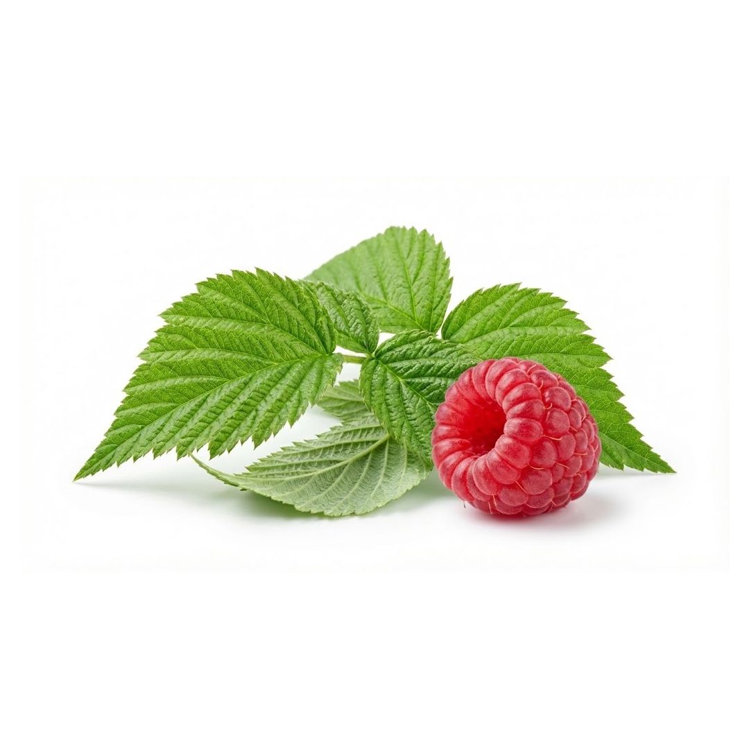 Raspberry leaf