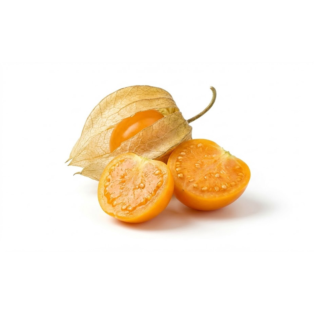 Physalis