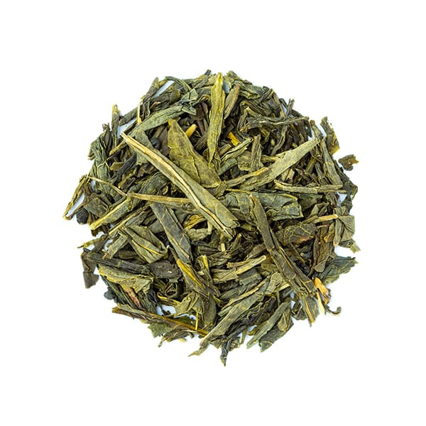 Sencha
